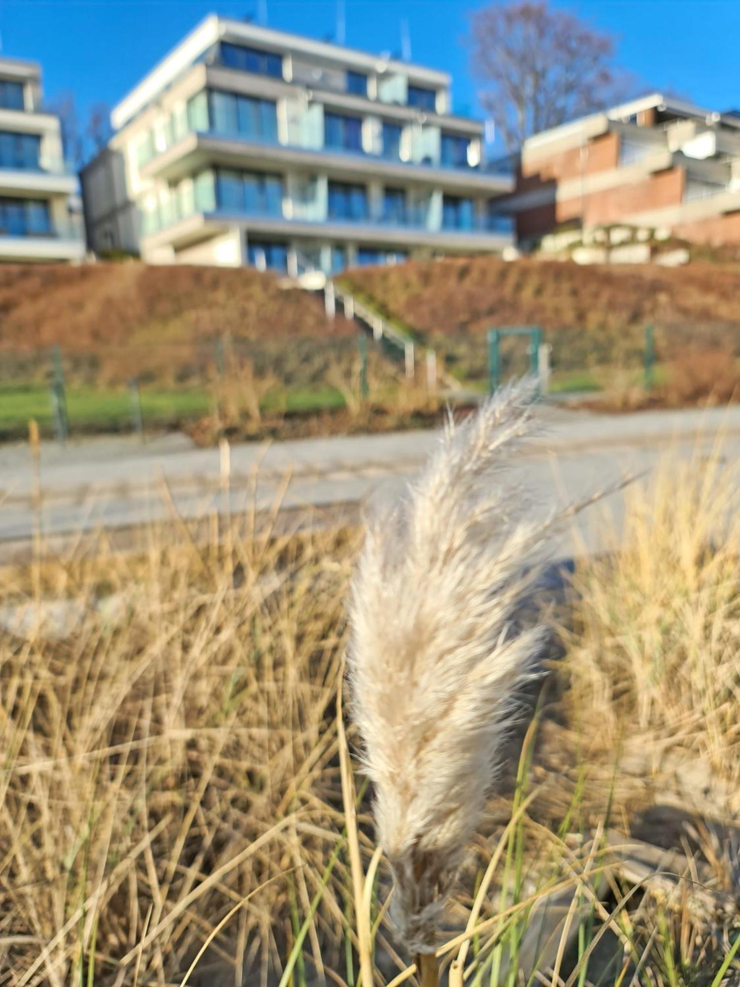 Am Hohen Ufer Whg 5 Apartment Groemitz Luaran gambar